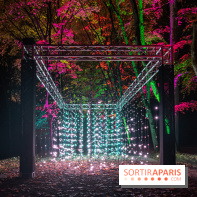 Lumières en Seine, les photos du parcours féérique 