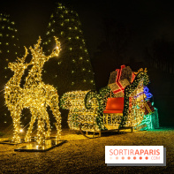 Lumières en Seine, les photos du parcours féérique 