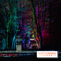 Lumières en Seine, les photos du parcours féérique 