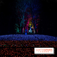 Lumières en Seine, les photos du parcours féérique 