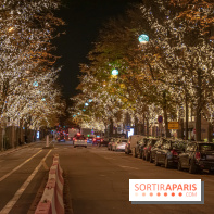 Illuminations de Noël 2021 de l'avenue Montaigne : nos photos