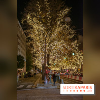 Illuminations de Noël 2021 de l'avenue Montaigne : nos photos
