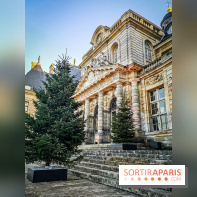 Vaux-le-Vicomte en lumières pour Noël : fêtez les 400 ans de Jean de la Fontaine
