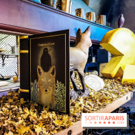 Vaux-le-Vicomte en lumières pour Noël : fêtez les 400 ans de Jean de la Fontaine