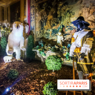 Vaux-le-Vicomte en lumières pour Noël : fêtez les 400 ans de Jean de la Fontaine