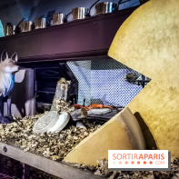 Vaux-le-Vicomte en lumières pour Noël : fêtez les 400 ans de Jean de la Fontaine