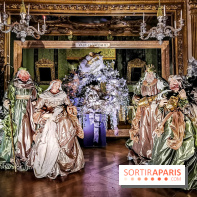 Vaux-le-Vicomte en lumières pour Noël : fêtez les 400 ans de Jean de la Fontaine