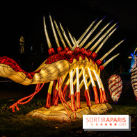 Festival des lumières du Jardin des Plantes 2021, l'Evolution en voie d'illumination - nos photos