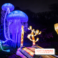 Festival des lumières du Jardin des Plantes 2021, l'Evolution en voie d'illumination - nos photos