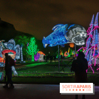 Festival des lumières du Jardin des Plantes 2021, l'Evolution en voie d'illumination - nos photos