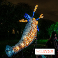 Festival des lumières du Jardin des Plantes 2021, l'Evolution en voie d'illumination - nos photos