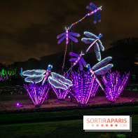 Festival des lumières du Jardin des Plantes 2021, l'Evolution en voie d'illumination - nos photos