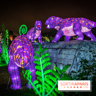 Festival des lumières du Jardin des Plantes 2021, l'Evolution en voie d'illumination - nos photos