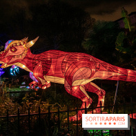 Festival des lumières du Jardin des Plantes 2021, l'Evolution en voie d'illumination - nos photos