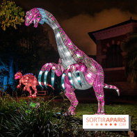 Festival des lumières du Jardin des Plantes 2021, l'Evolution en voie d'illumination - nos photos