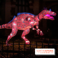 Festival des lumières du Jardin des Plantes 2021, l'Evolution en voie d'illumination - nos photos
