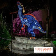 Festival des lumières du Jardin des Plantes 2021, l'Evolution en voie d'illumination - nos photos