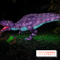 Festival des lumières du Jardin des Plantes 2021, l'Evolution en voie d'illumination - nos photos