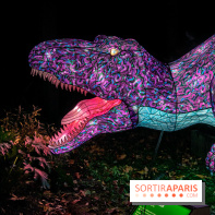 Festival des lumières du Jardin des Plantes 2021, l'Evolution en voie d'illumination - nos photos