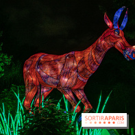 Festival des lumières du Jardin des Plantes 2021, l'Evolution en voie d'illumination - nos photos