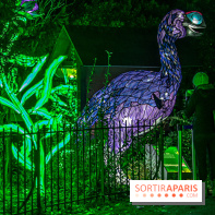 Festival des lumières du Jardin des Plantes 2021, l'Evolution en voie d'illumination - nos photos