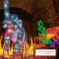Festival des lumières du Jardin des Plantes 2021, l'Evolution en voie d'illumination - nos photos