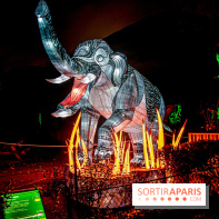 Festival des lumières du Jardin des Plantes 2021, l'Evolution en voie d'illumination - nos photos