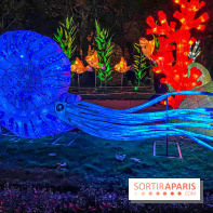 Festival des lumières du Jardin des Plantes 2021, l'Evolution en voie d'illumination - nos photos