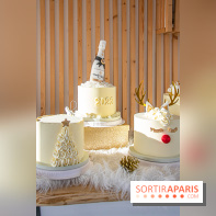 Bûche 2021 Candy Paradis