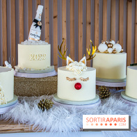 Bûche 2021 Candy Paradis