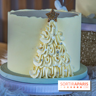 Bûche 2021 Candy Paradis