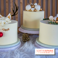 Bûche 2021 Candy Paradis