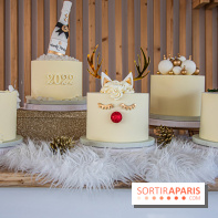 Bûche 2021 Candy Paradis