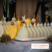 Bûche 2021 Candy Paradis