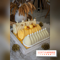 Bûche 2021 Candy Paradis