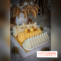 Bûche 2021 Candy Paradis