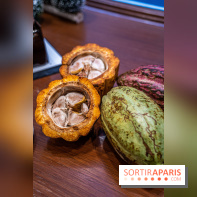 La Bûche de Noël de la Reine Astrid au mucilage 