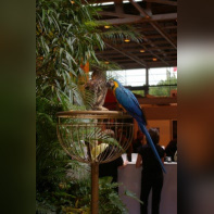 Salon de la Photographie - Paris 2009