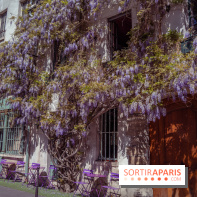 Les cafés fleuris de Paris