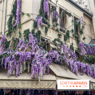 Les cafés fleuris de Paris