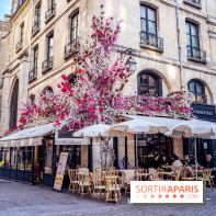 Les cafés fleuris de Paris