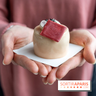 Pâtisseries et douceurs de Nouvel An Chinois-Lunaire