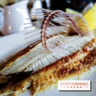 Les Petits Bateaux à Paris, nos photos 
