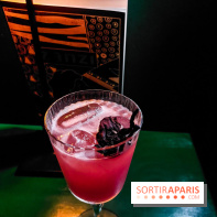 Zanzi : bar à cocktails à Paris, nos photos