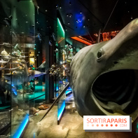 Visuels musée et monument intérieur muséum histoire naturelle