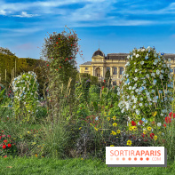 Visuels musée et monument  - museum - jardin des plantes