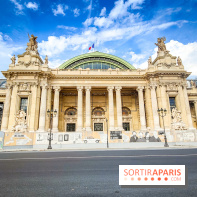 Visuels musée et monument - Grand Palais travaux