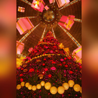 Noël 2009 aux Galeries Lafayette