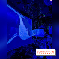 Ephemera, le premier restaurant immersif à Paris