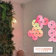 Bloom, le studio de méditation moderne pour se détendre au cœur de Paris